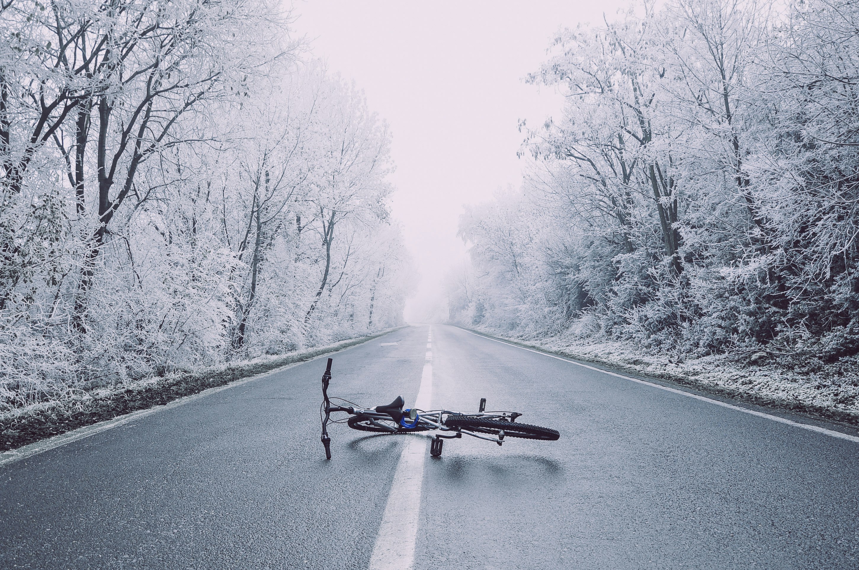 bicycle on road between trees photography